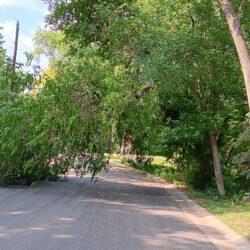 Shorewood’s Disappearing Roads & Intersections