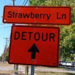 Strawberry Lane