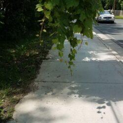 Shorewood’s Disappearing Roads & Intersections