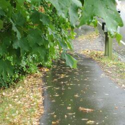 Shorewood’s Disappearing Roads & Intersections