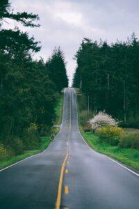 gray concrete road beside green trees