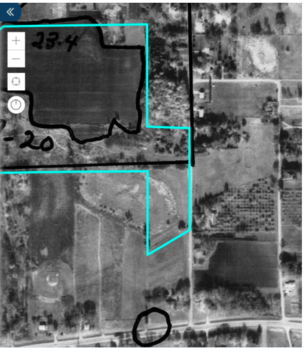 Freeman park origins