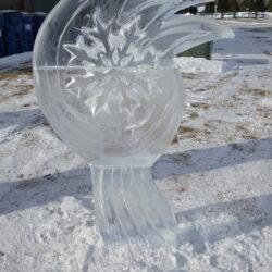 arctic fever