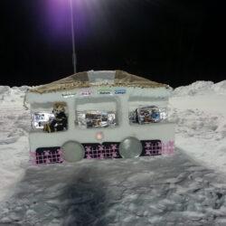 arctic fever