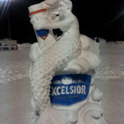 arctic fever