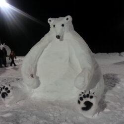 arctic fever