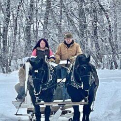 horse drawn sleigh